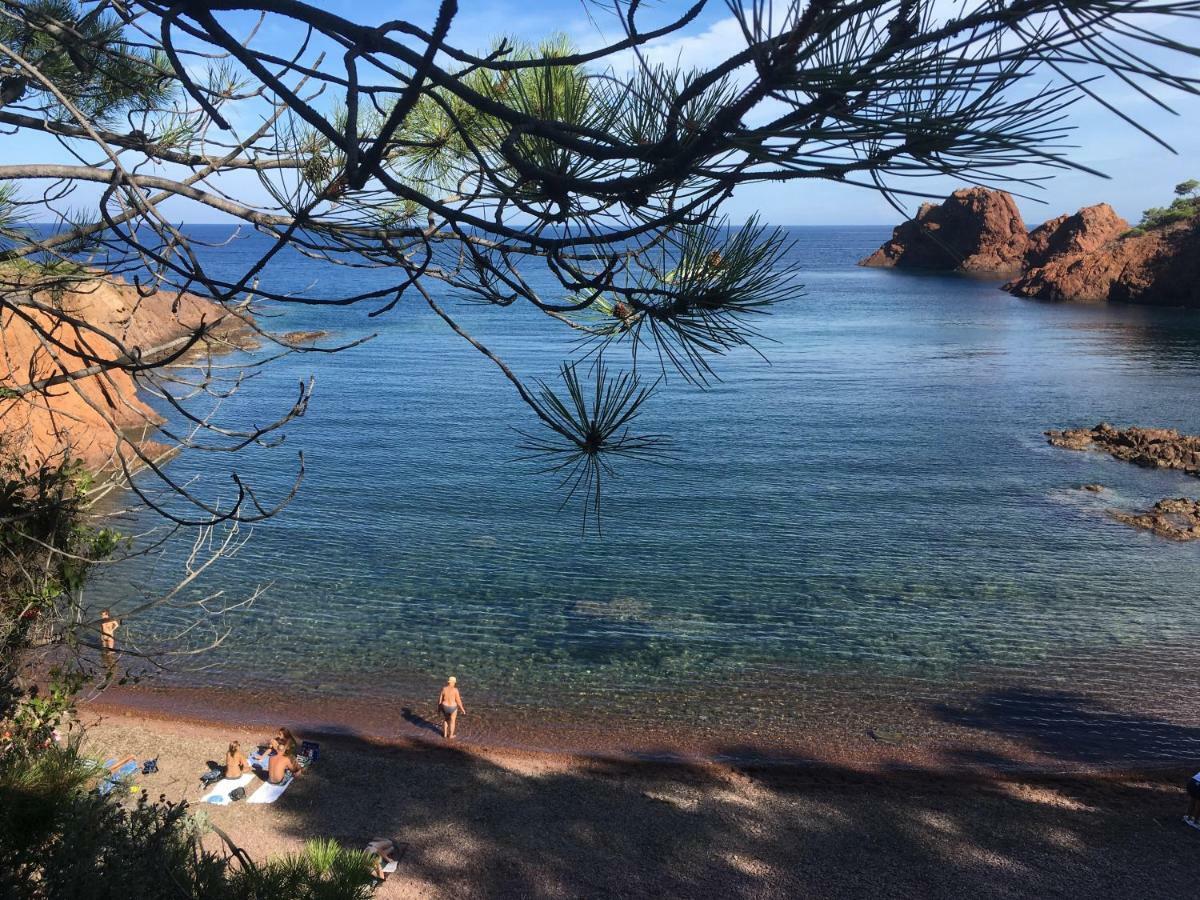 "Les Alizes" Cote Jardin Proche Bord De Mer Сен-Рафаэль Экстерьер фото