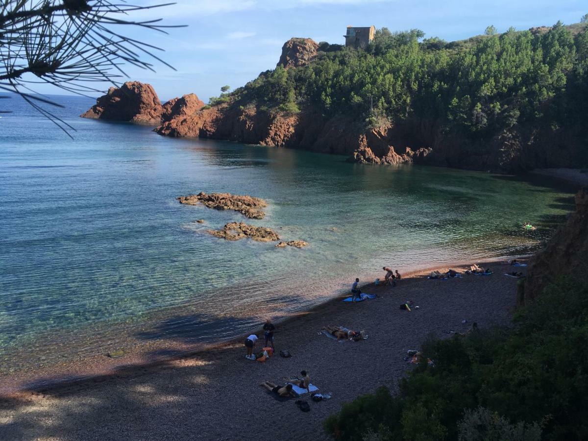 "Les Alizes" Cote Jardin Proche Bord De Mer Сен-Рафаэль Экстерьер фото