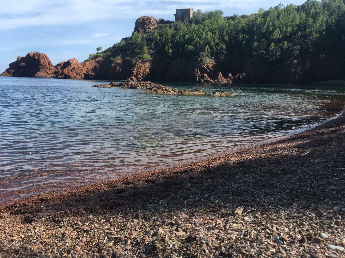 "Les Alizes" Cote Jardin Proche Bord De Mer Сен-Рафаэль Экстерьер фото